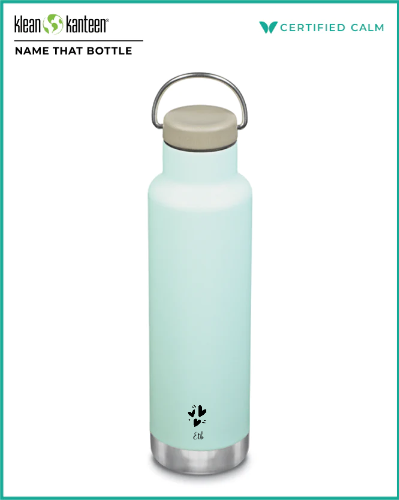 Name That Bottle Klean Kanteen 20oz Insulated Classic (w/ Loop Cap) Blue Tint