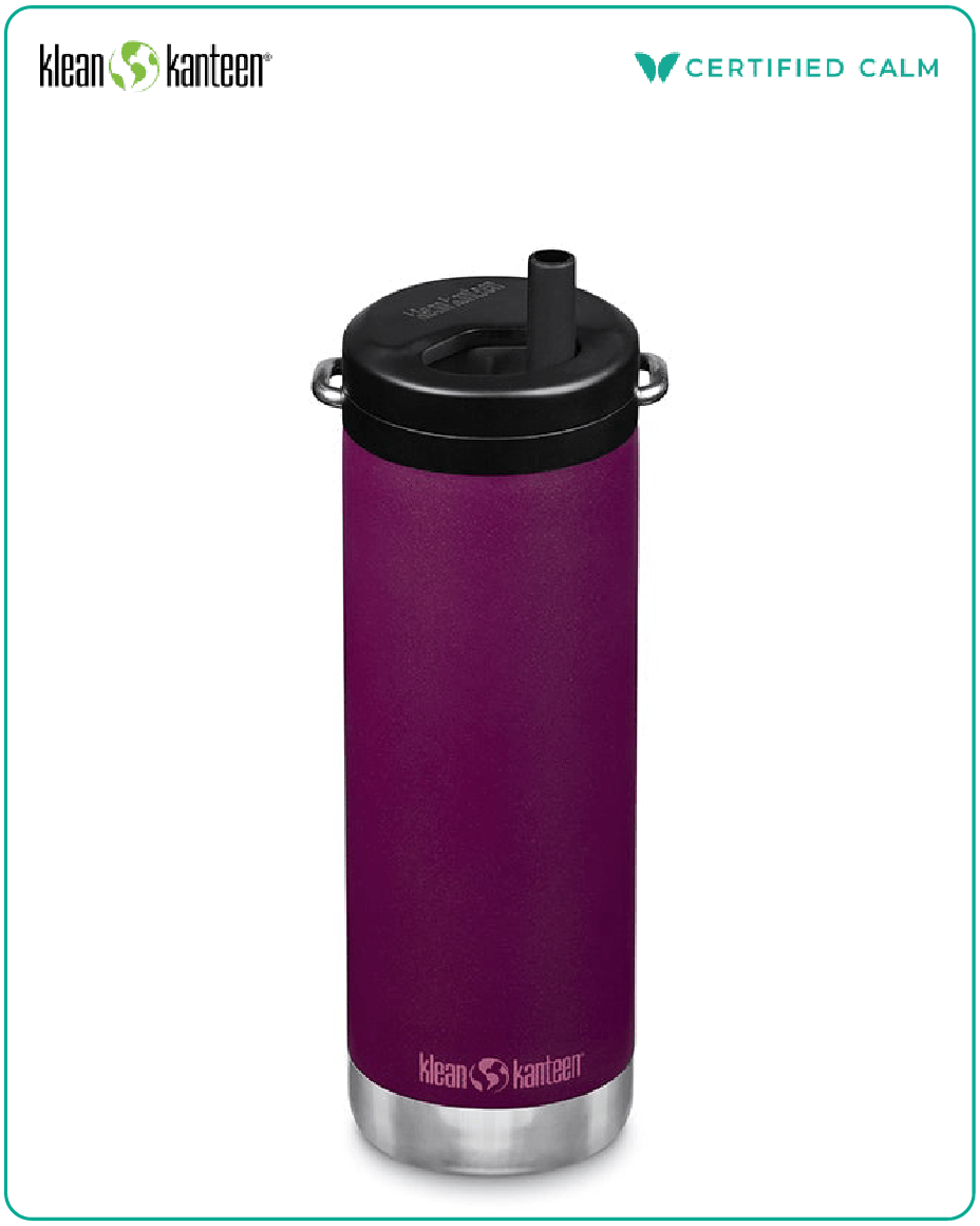 Klean Kanteen 16oz TKWide with Twist Cap  Purple Potion