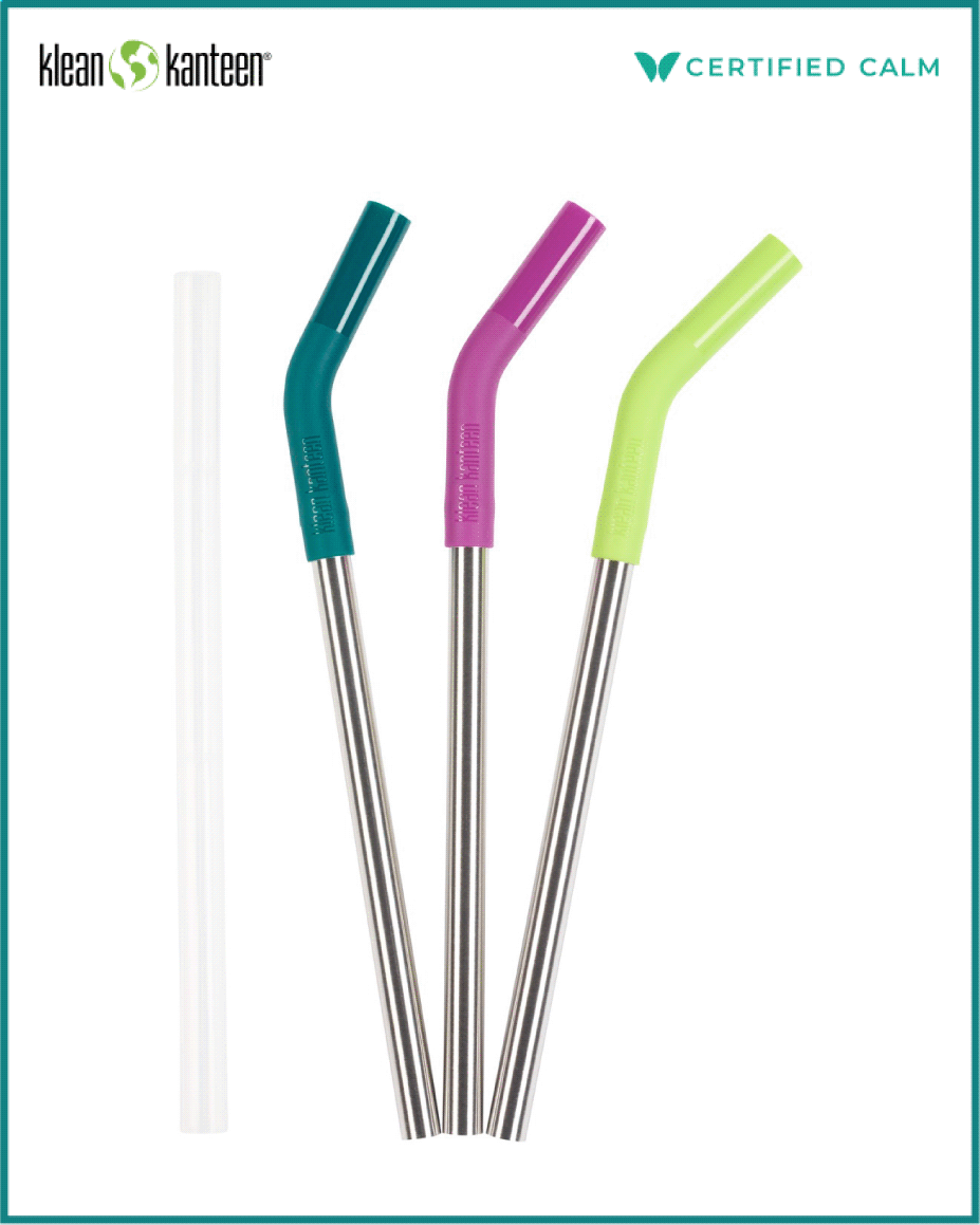 Stainless Steel Straw with Silicone Tip 10.5 - CoxHealth